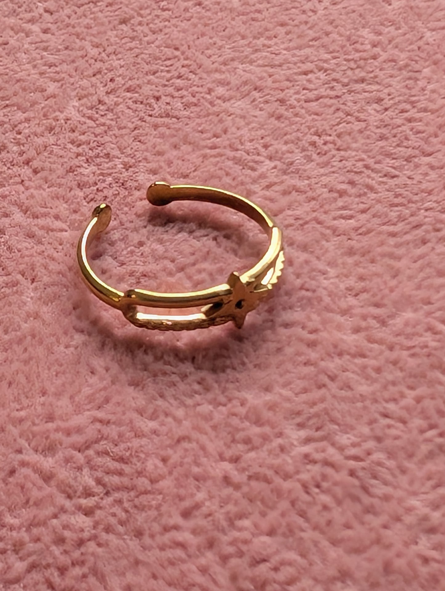 The North Star Open Band ✨